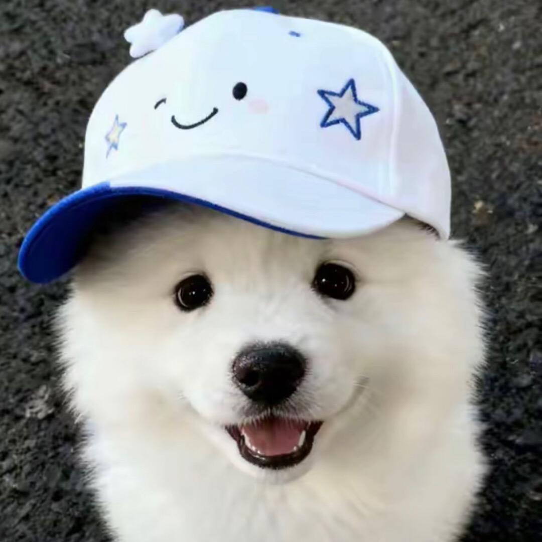 嚼