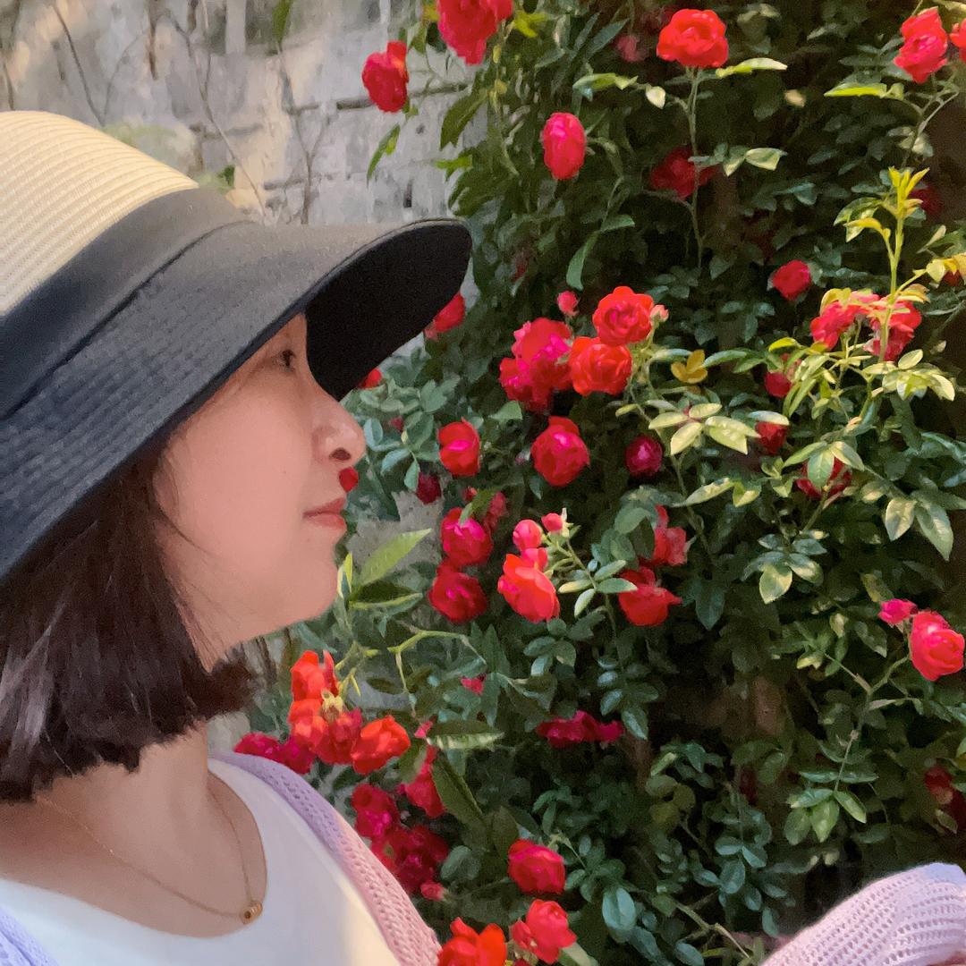 泡芙小姐
