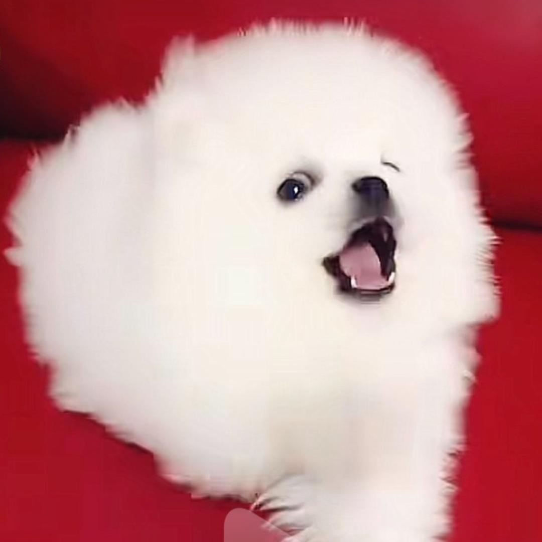 九月