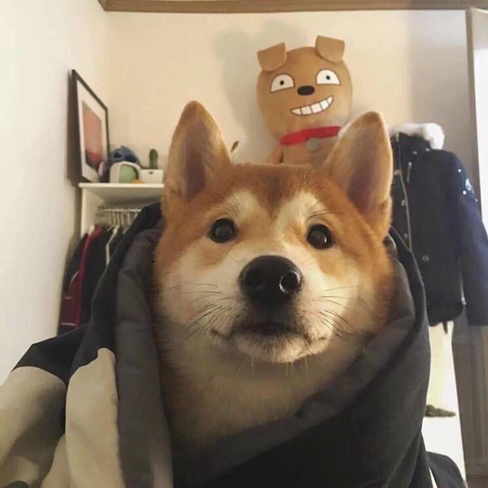 阳光男孩