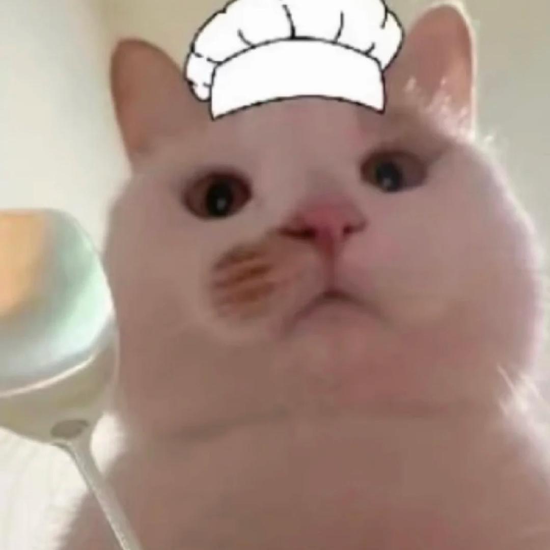 =͟͟͞͞ʕ•̫͡•:rr