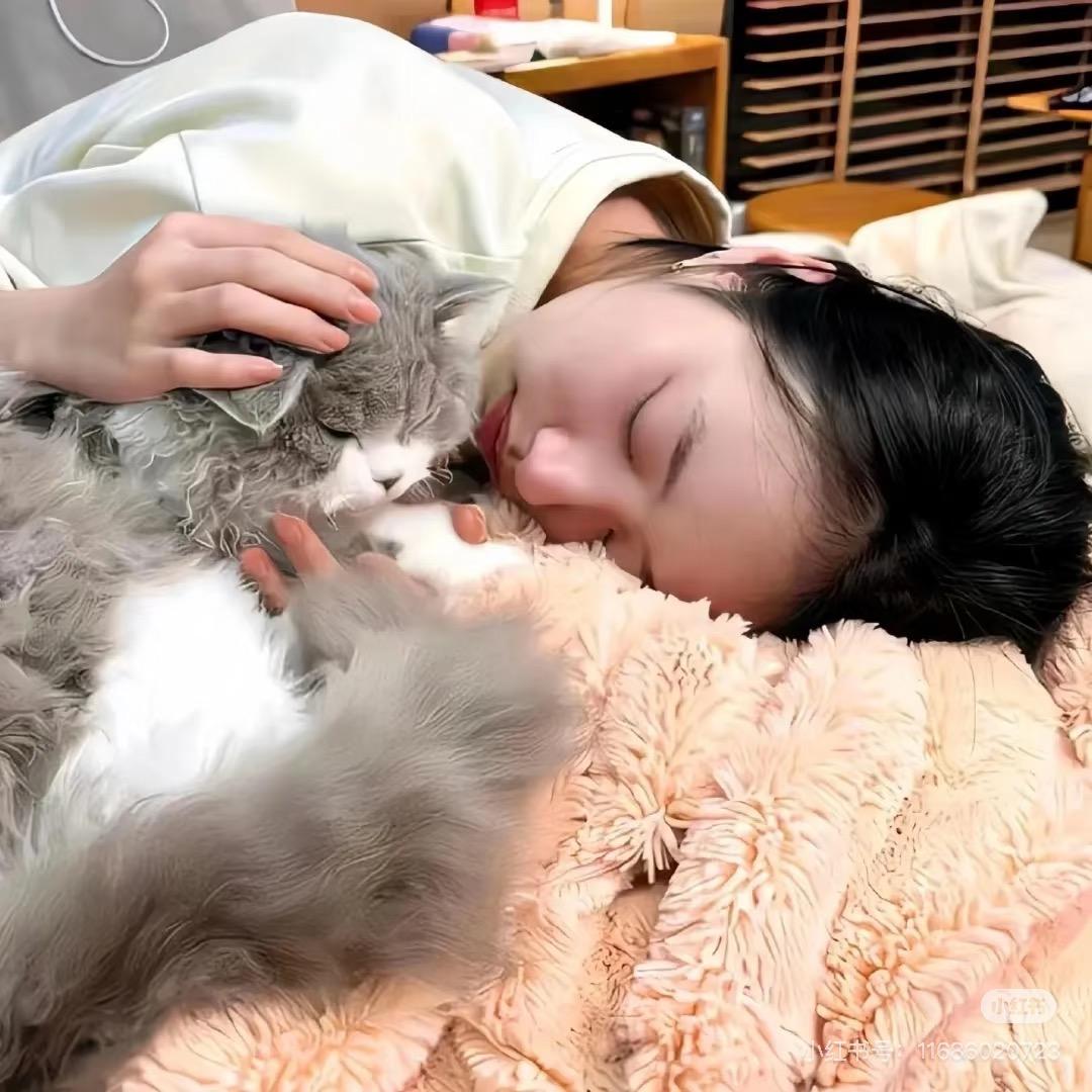 叻叻猪