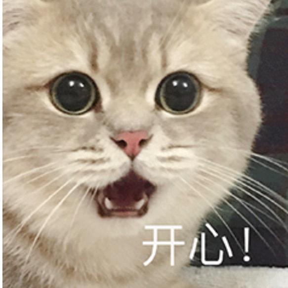 热血江湖姚琪啊