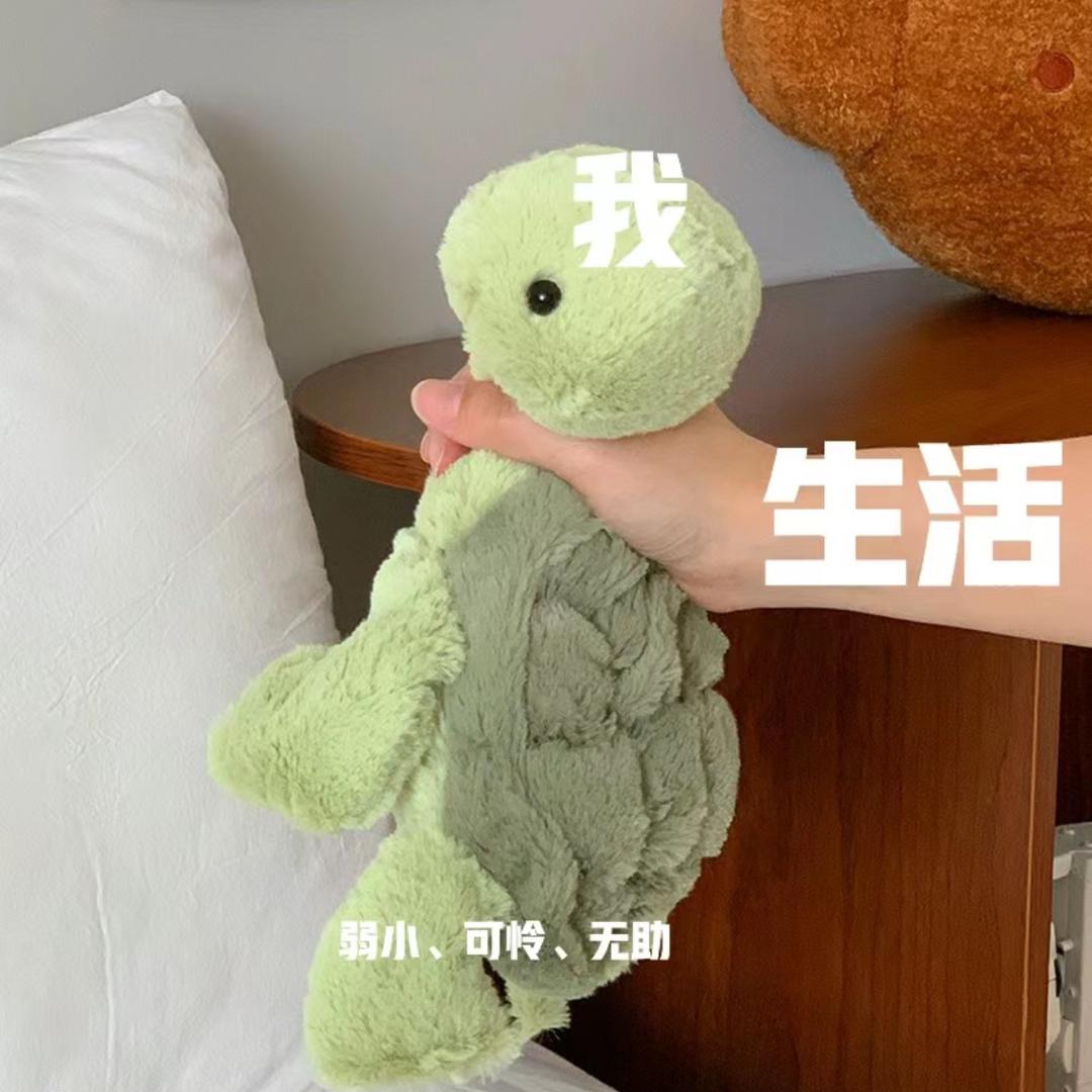 希希的小龟