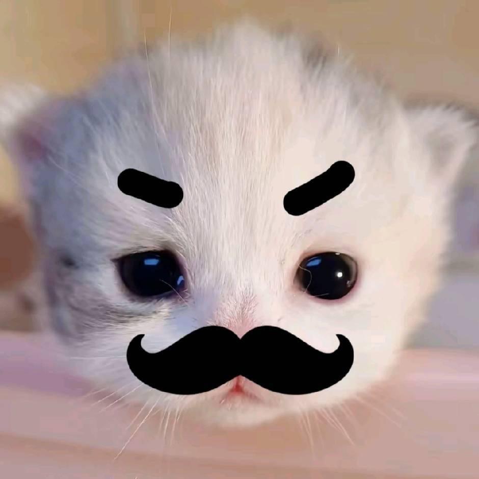 哈基东 露娜尽头