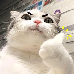 窝里横.