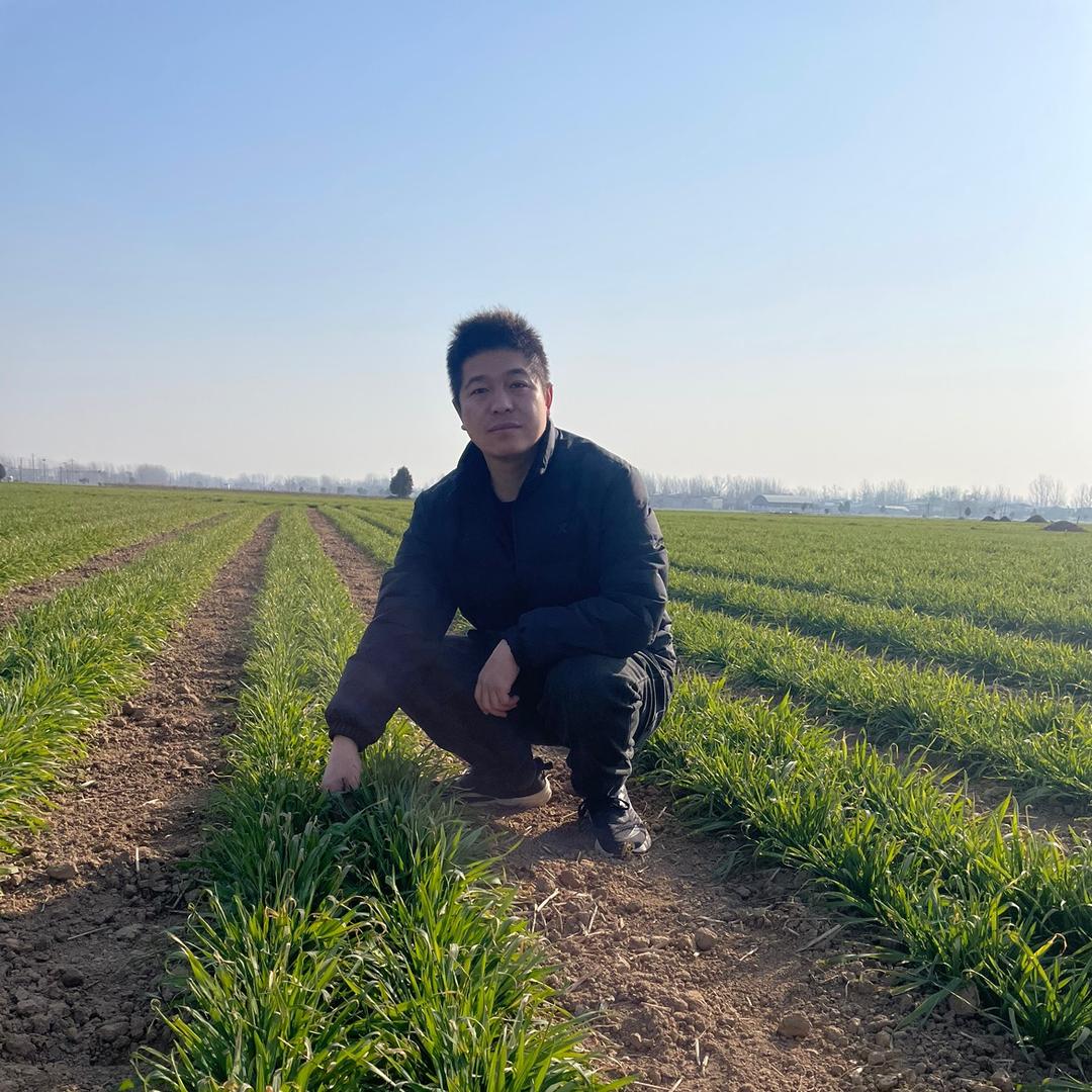 双庙兵举农资店