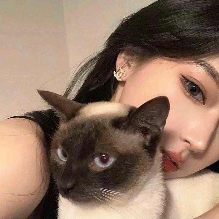 丁宏樂…