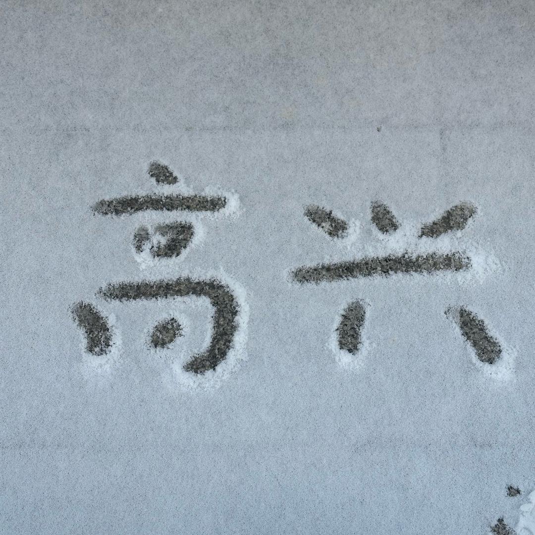 斑马还没睡