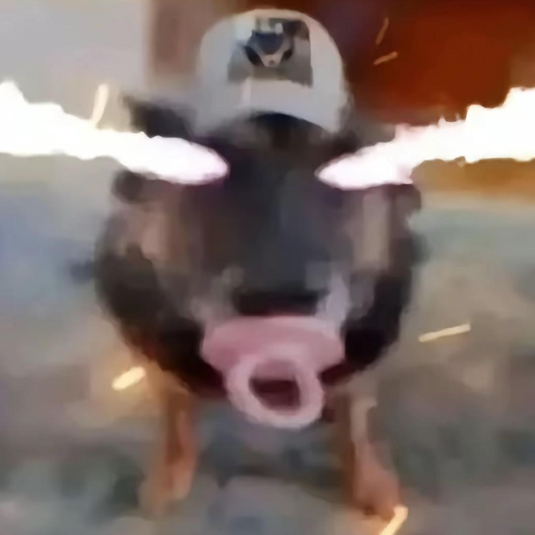 7 7 7