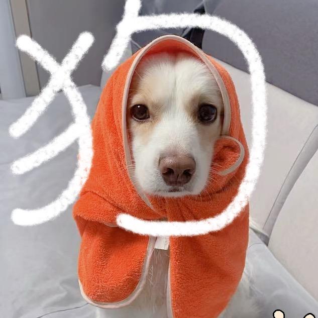 小孟