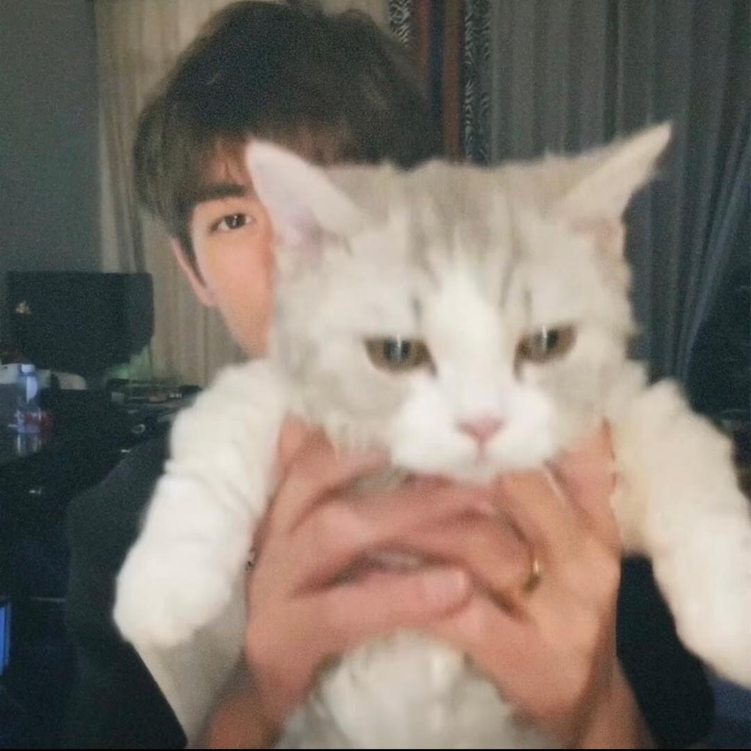 三分饱