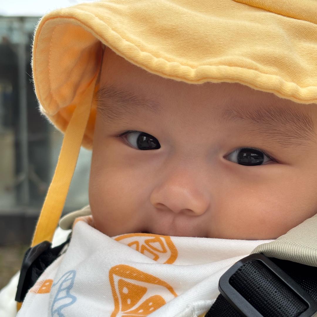 明汁故饭宝宝～