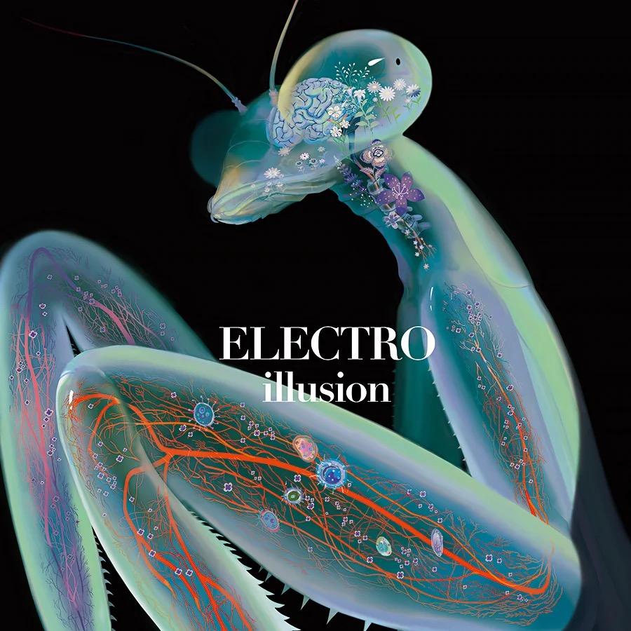 赛克斯赛文恩特