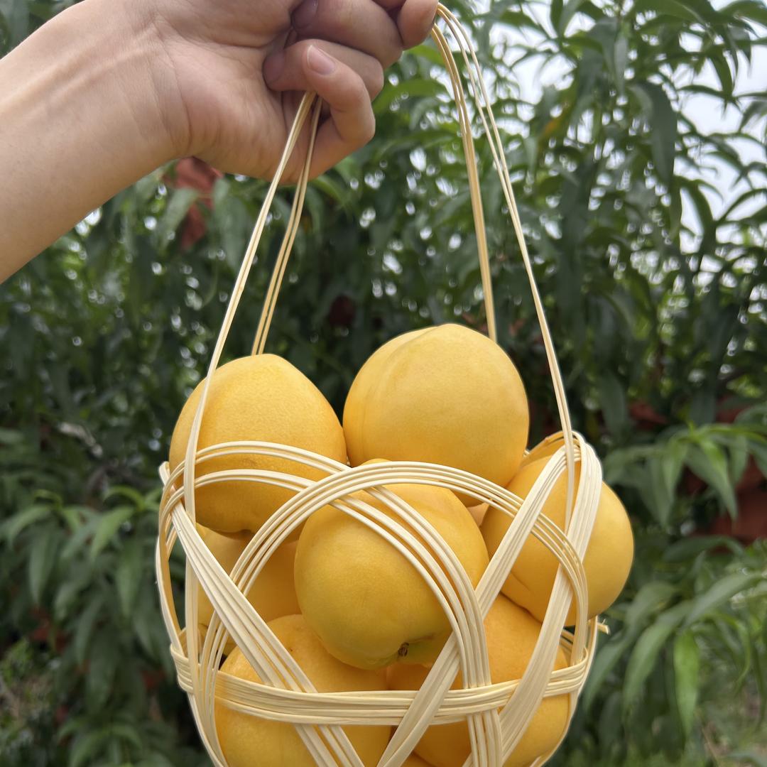 蒙阴蜜桃小文