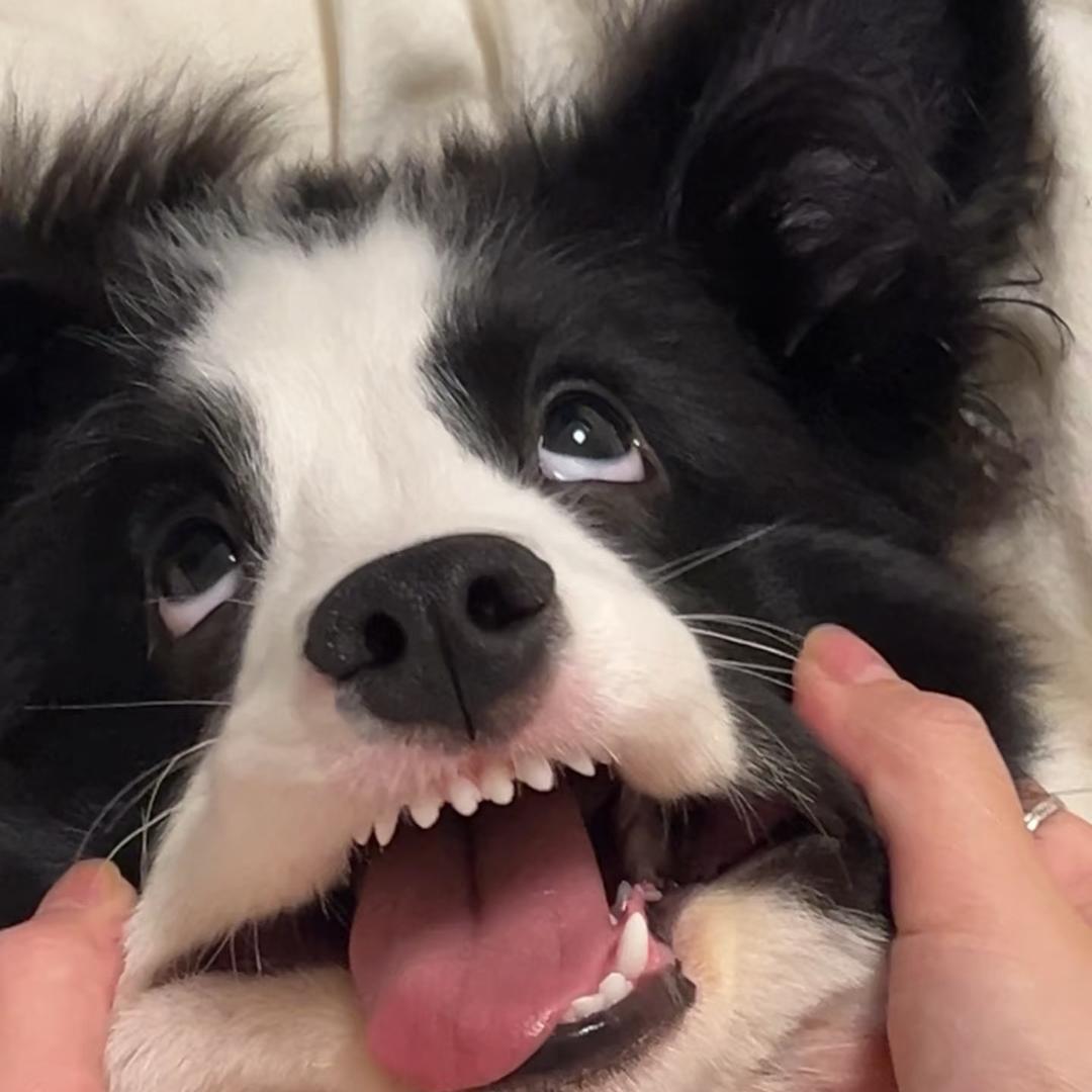 财财