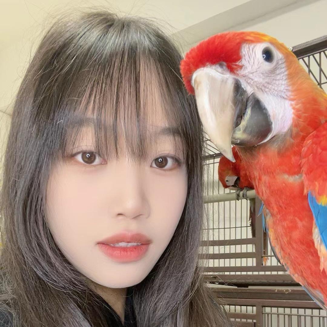 厦门鹦鹉🦜直播号