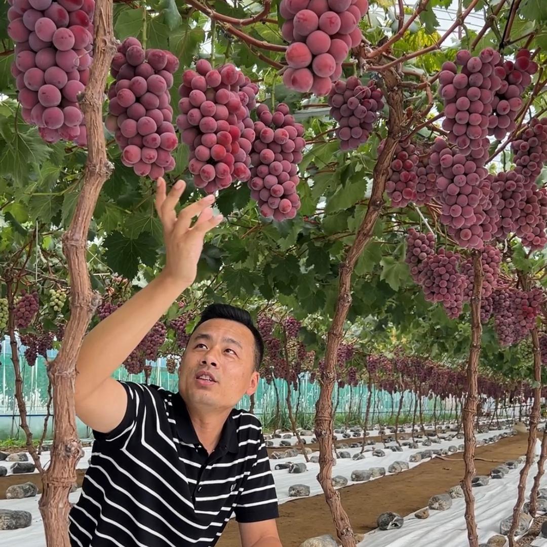 水果奇兵