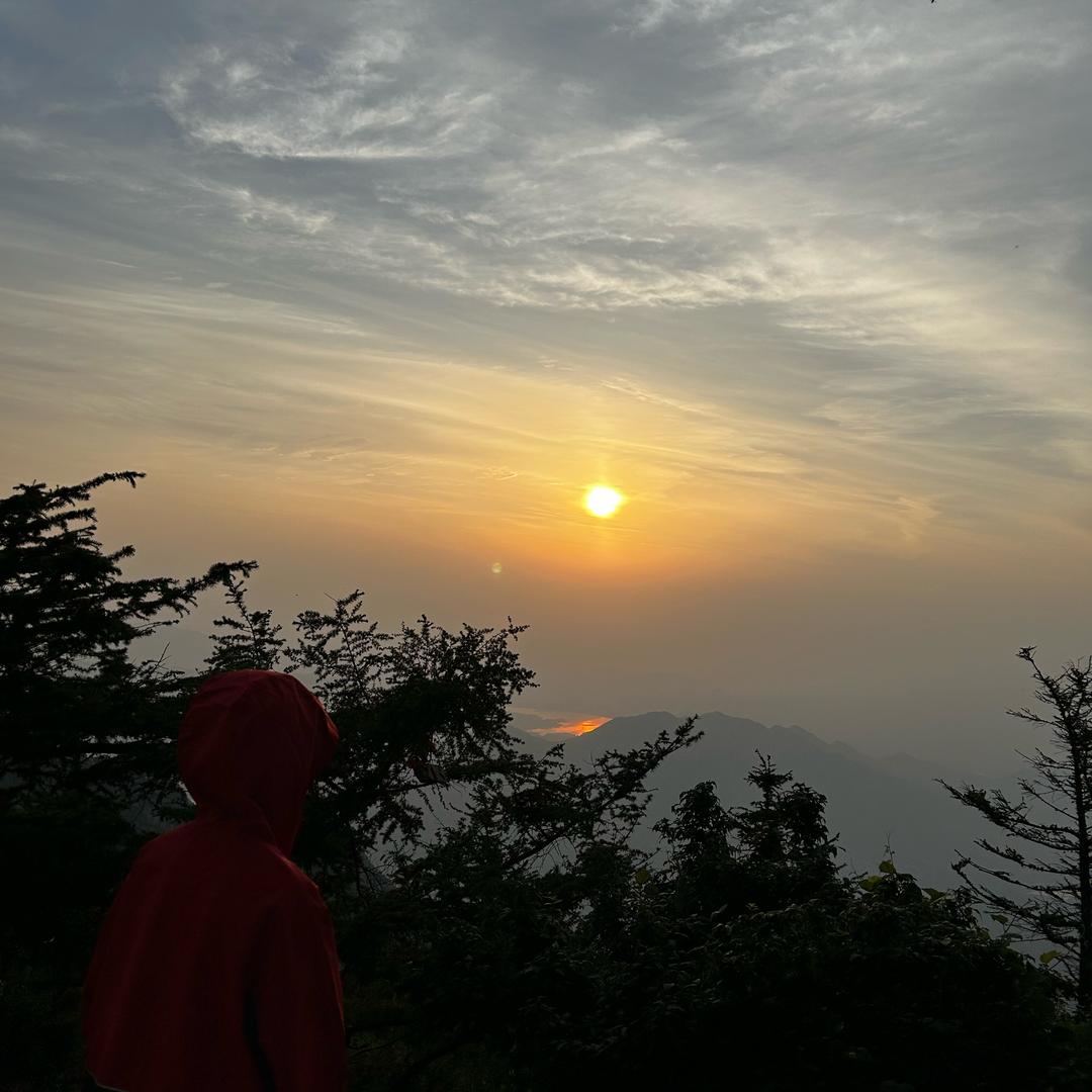 仙人掌