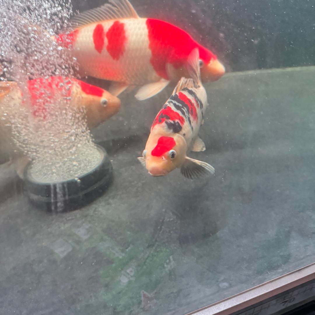 在地球上的一天