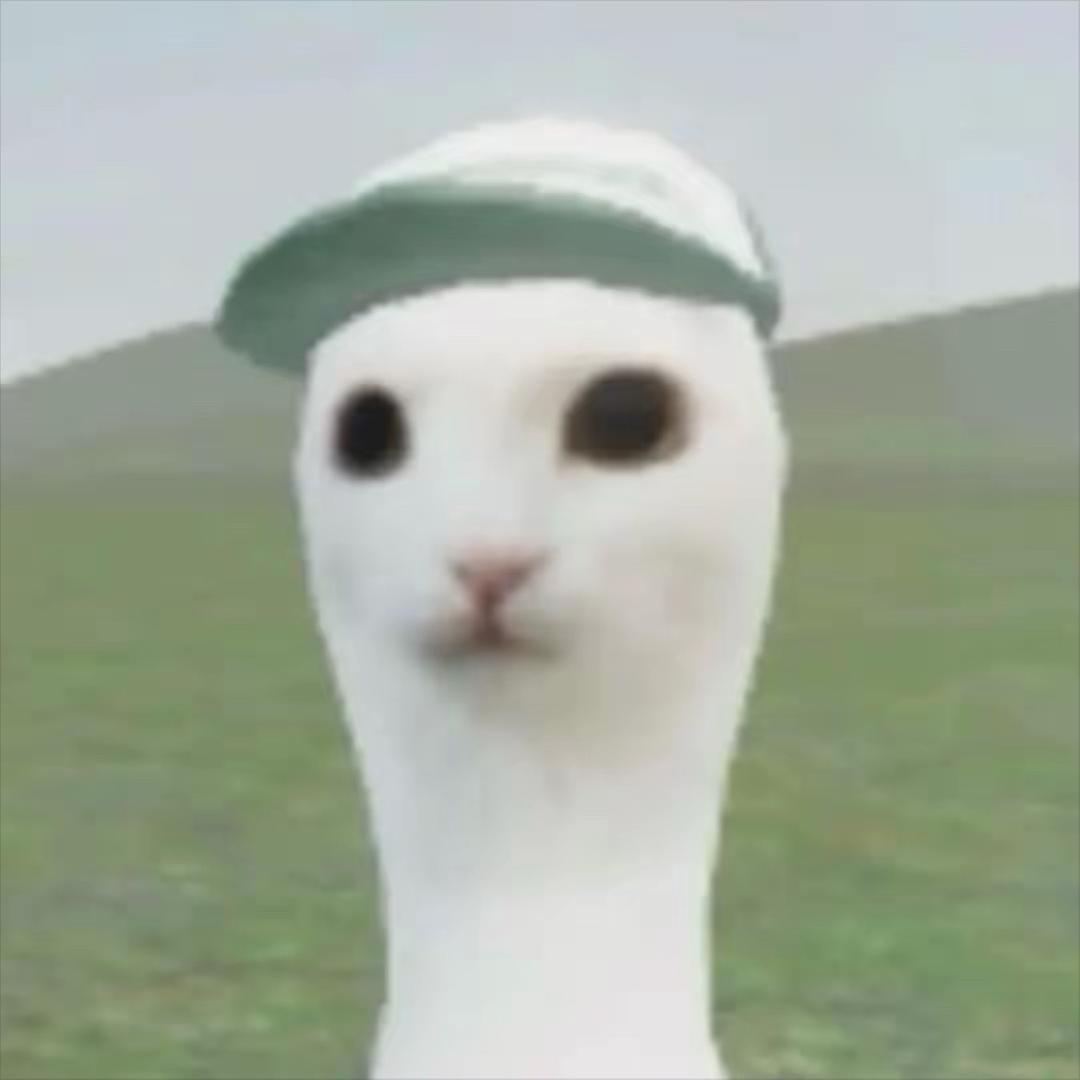 凉鞋㊗️