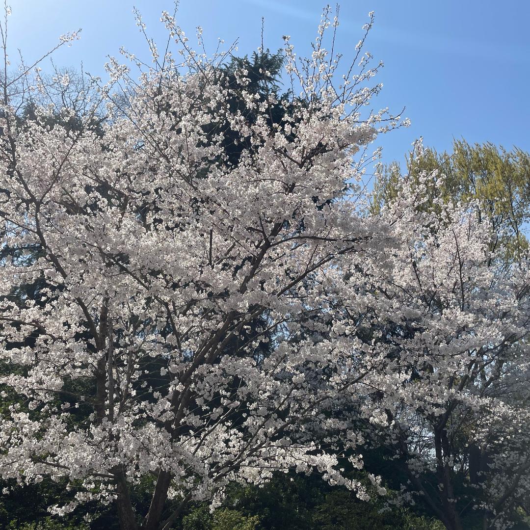 就吃一口口