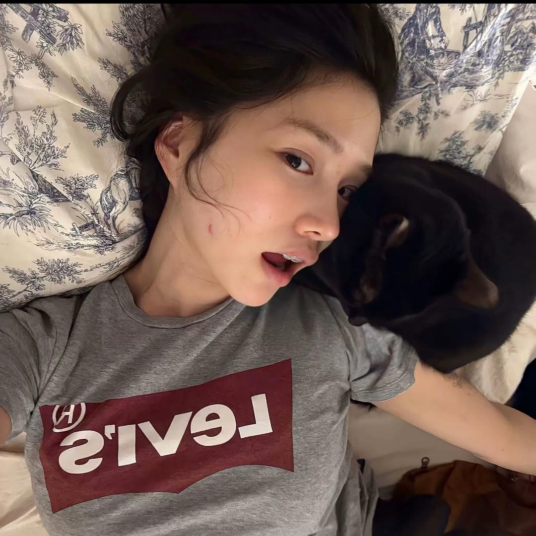 陈66