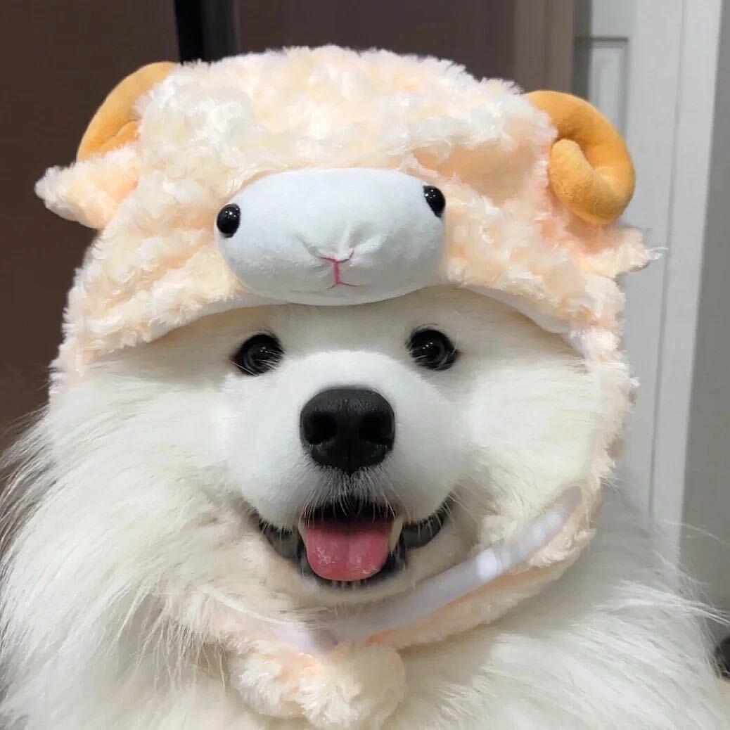 贪吃虎