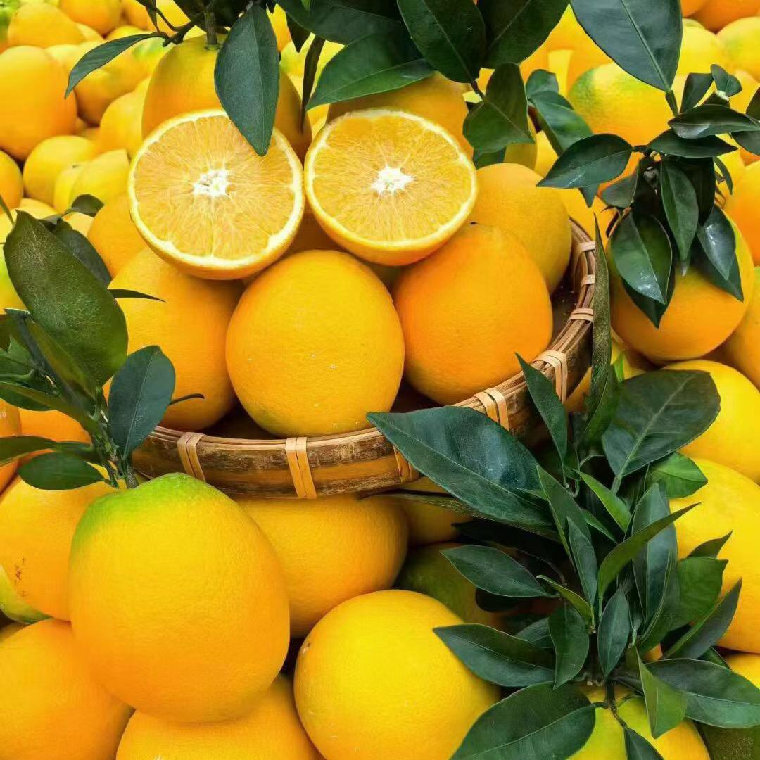 “橙”🍊蒙你的出现，够我喜欢一辈子💕