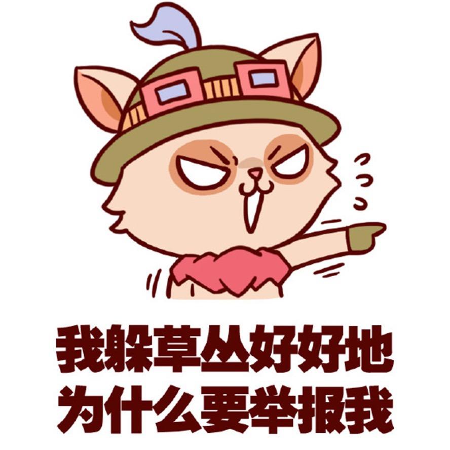 🌈小脸猫🌈