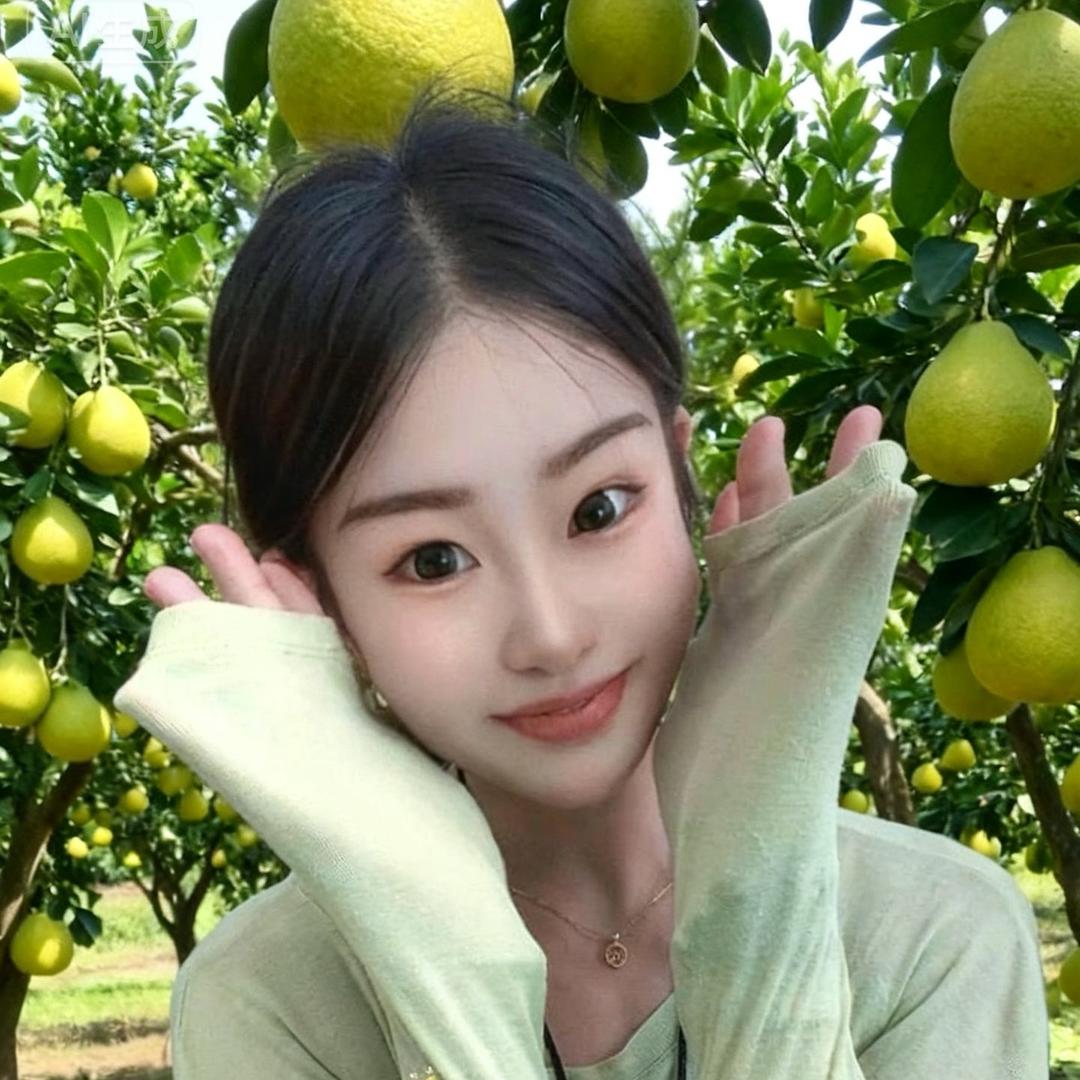 盼盼