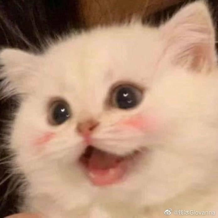发什么呆