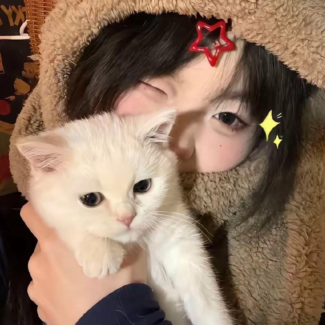 小八🍃