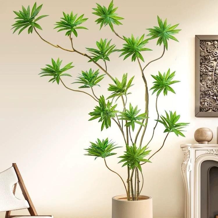 金秋绿植基地