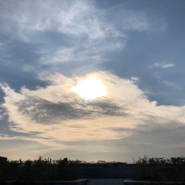 潇潇雨蝎头像