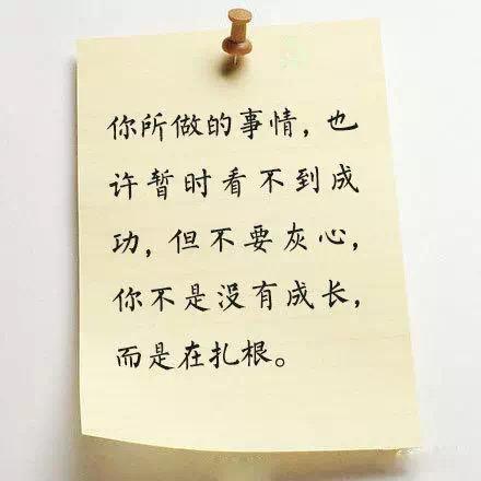 飘逸