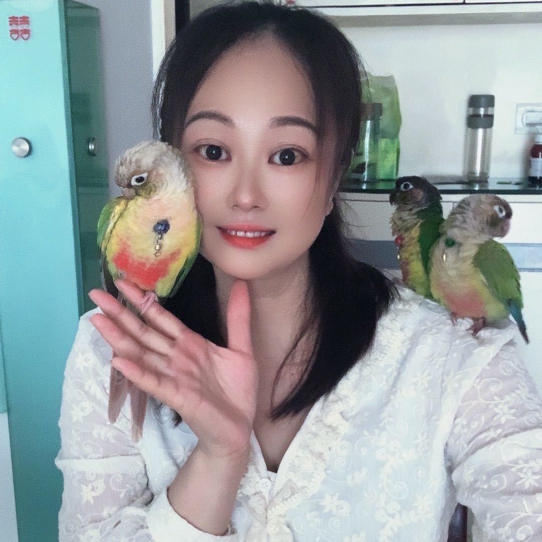 乖乖有点乖🐦