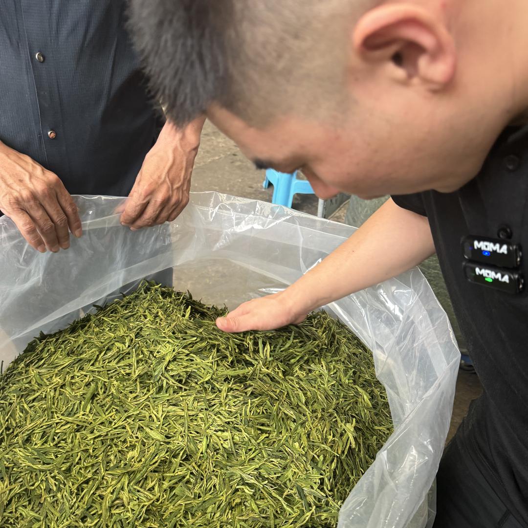 松阳县极绿茶叶经营部