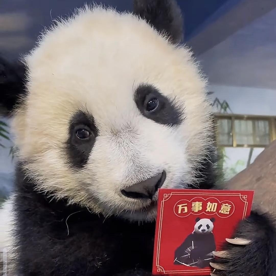 枫桥