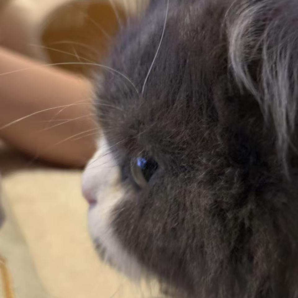 🍾🍺迎接你们的王🥩🍟