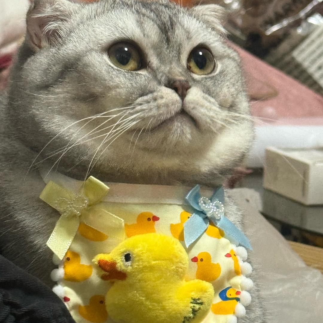 青年力工(工地打杂)