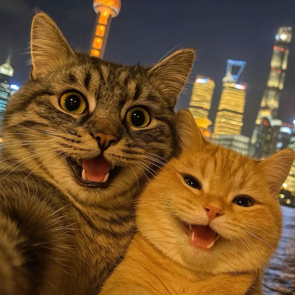 小酒窝童鞋（不做垃圾货）