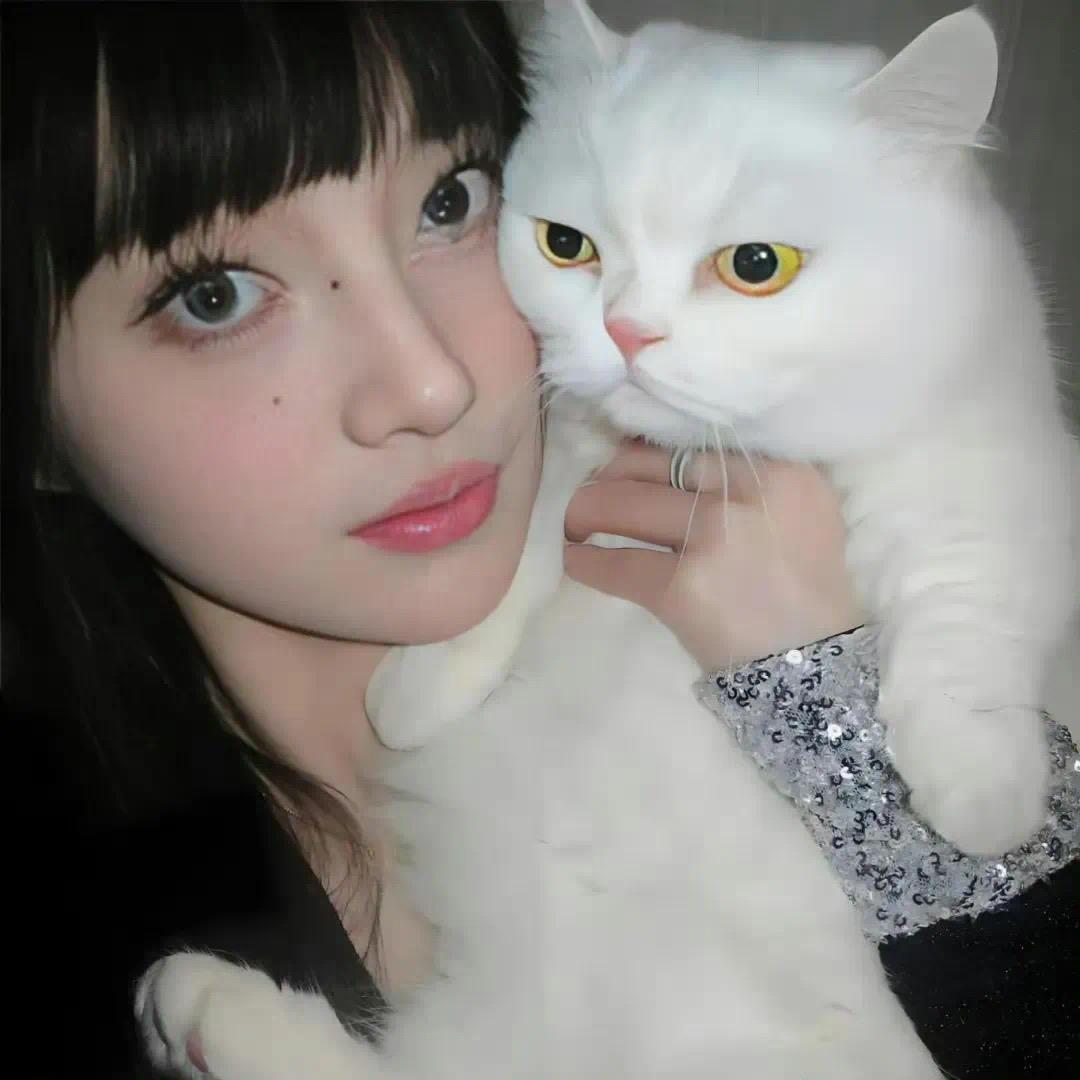 金澜碎片篇.