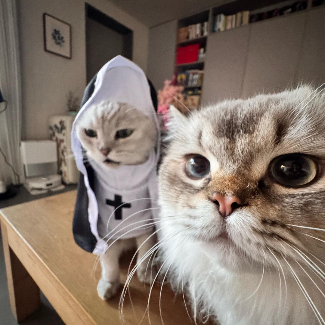 阿西吧公主的室友