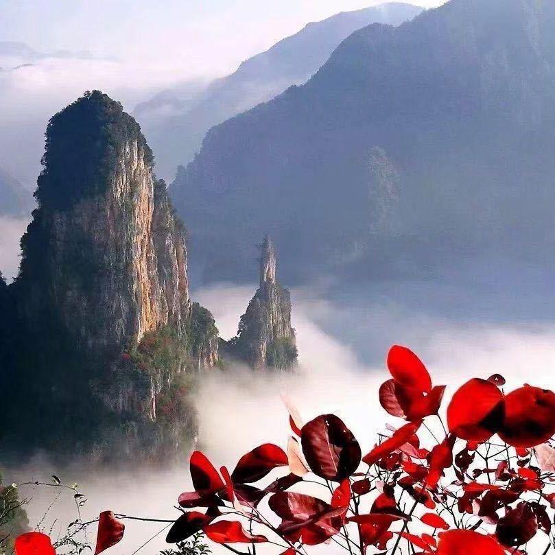 落子无悔