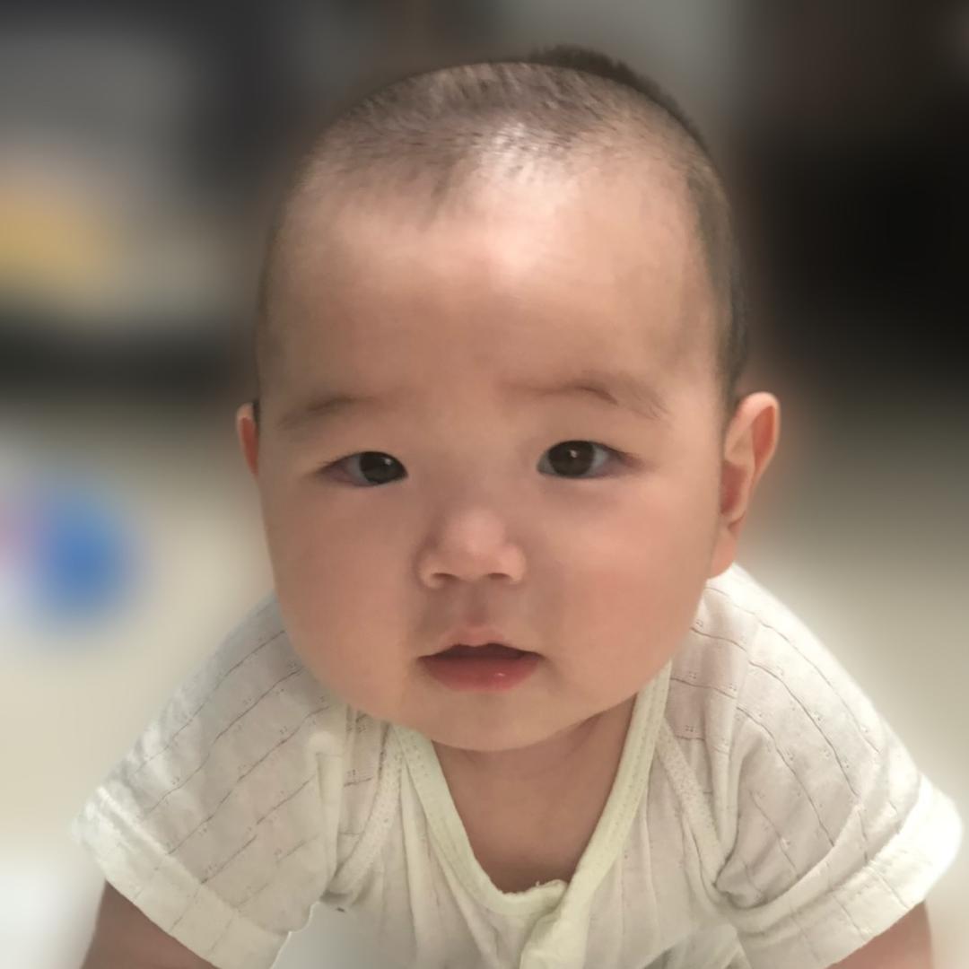 硕果满园