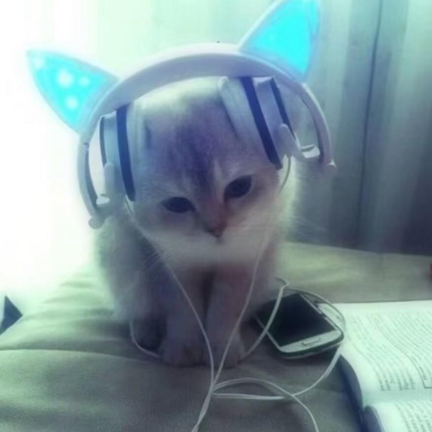 小鱼卷T^T