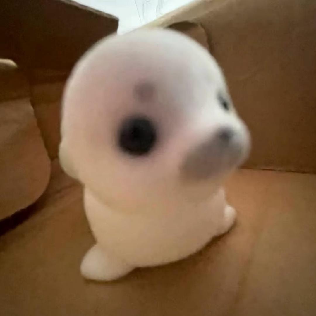 J佳.