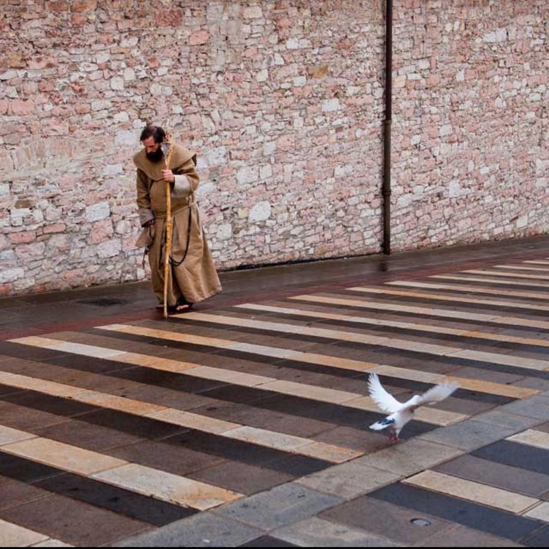 不到85kg不换名字Radar