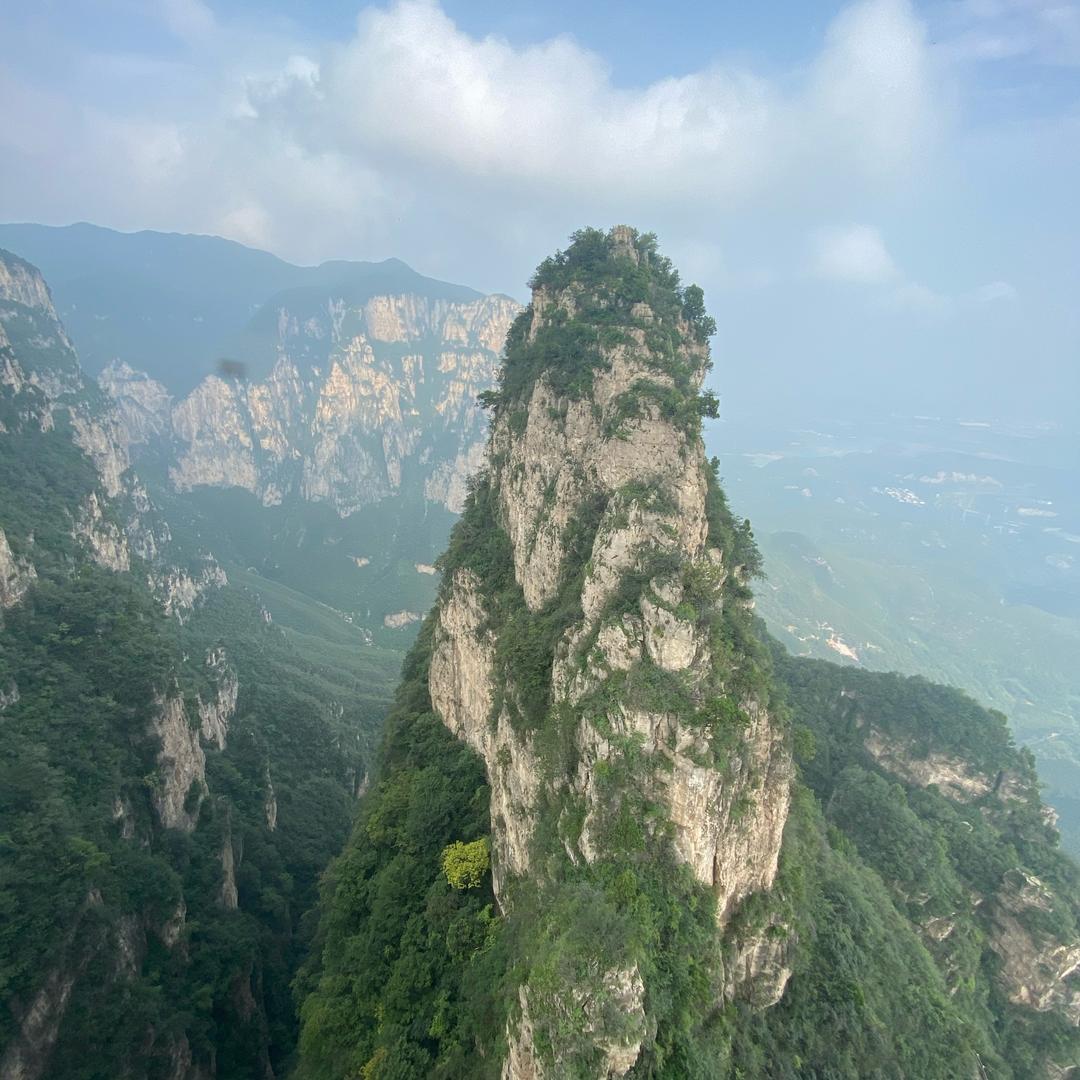 宠乐康(康乐）宠物医院